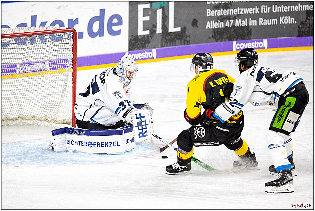 DEL;  Koelner Haie - Straubing Tigers; Koeln, 01.03.2020